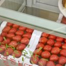 대전 도안동 카페 [리하우스]_딸기 케이크 맛집_직접 재배한 딸기 시즌 판매중