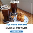 루나 카페 | 파주 운정 애견동반 카페 추천, 루나블루 수제케이크 후기