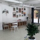 청년모종 이미지