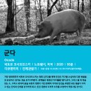 21세기자막단 네이버블로그