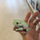 와우펫앤쥬 이미지