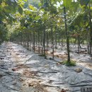 잘풀리는 부동산 공인중개사사무소 이미지