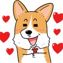 슬로독 이미지