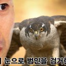 뮤토바디필라테스