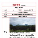 대정읍 상모1리사무소 | 제주 서귀포 대정 상모리 주상복합용 잘 생긴 토지 매매안내