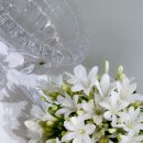 삼성2-237 | 노블발렌티 삼성 채플 웨딩홀 아이폰스냅 본식후기