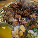 231115~20 재리다이어트일기 10~15일차