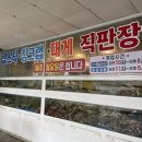 (주)동남수산