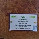 국립수목원 산림박물관 이미지