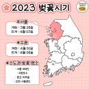 벚꽃 개화시기 2023년 - 지역별 총정리 벚꽃 개화 & 만개 시기 이미지