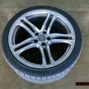 아이언게러지 이미지