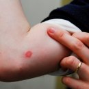 날으는 동물병원 이미지