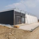 농업회사법인(주)제이디팜(김제지점) | 딸기 하우스난방, 난방기 주변만 따뜻하면 안 됩니다. / 김제 딸기하우스 난방기 설치 후기 - 스페이스온