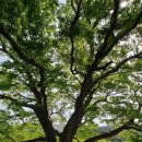 당산휴게소 이미지