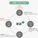 비에스이 이미지