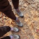 로아코리아 이미지