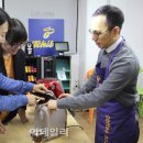 치보 이미지