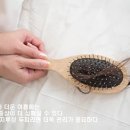 큐사랑대전 이미지