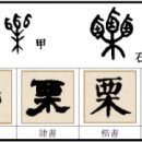 밤율