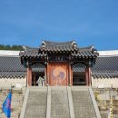 구례애올래
