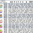 2023년 8월 21일 운세 및 세상 소식 이미지