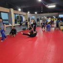 영생동물병원 이미지