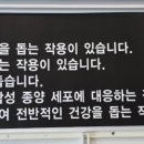 로이맘도라지가게분당