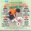 [인천] 2024 인천반려동물박람회 애완도마뱀 피그미다람쥐 이색반려동물박람회 사전예약 방문 후기