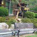 더플라워펜션 이미지