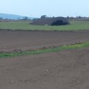 모형항공기 비행장 이미지