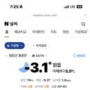 가족미트