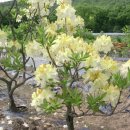 부리농장 이미지