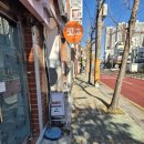 파충류샵 렙타일스테이션 | 부산 파충류샵 덕포동 파충류샵 썬즈렙타일 | 사상구 파충류 입양 후기