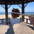 소연식당 네이버블로그