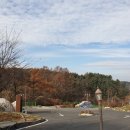 큰집춘천닭갈비 이미지