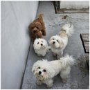 엄마 잘 다녀와 이미지