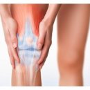 어베인휘트니스 이미지