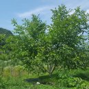 덕곡농장 이미지