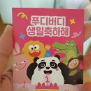 판다오라 이미지