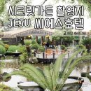 제주길라임민박 | 제주도호텔 힐링가득한 제주 서귀포 호텔 , 씨에스호텔