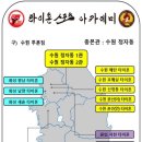 타이혼체육관