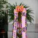 일월관 이미지