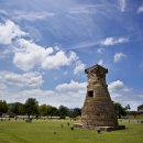 YOON FOREST 이미지