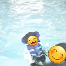 우리웰니스클럽 이미지