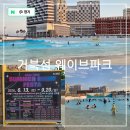 코리아세븐시흥대야점 | 경기도 시흥 가볼만한곳 거북섬 웨이브파크 물놀이장 썸머나이트 페스타
