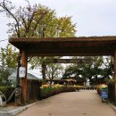 구사마을 이미지