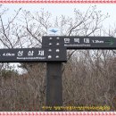 묘봉지 티스토리