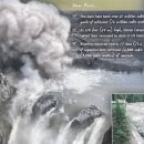 엘와이지 이미지