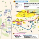 함안 강주 해바라기 축제 마을 정보 알아보기