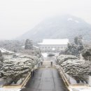 정권농장 이미지